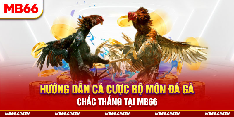 hotlive51 CQ9 Điện Tử