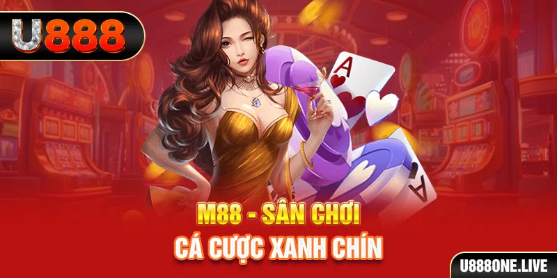 hotlive51 gà chọi cậu thanh