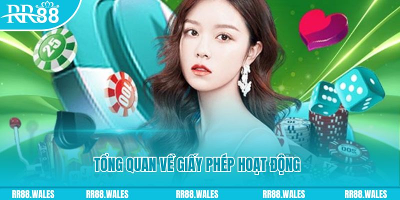 hotlive51 game đánh bài trên máy tính