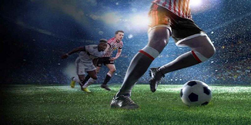 hotlive51 đá gà trực tiếp hôm nay