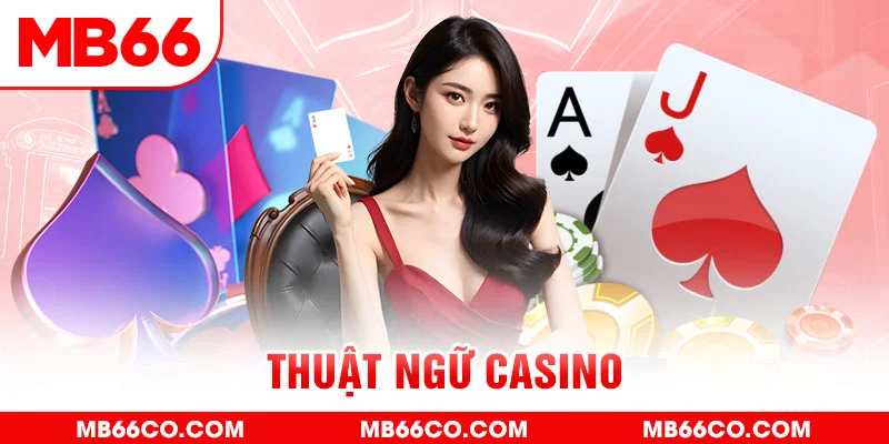 hotlive51 slot là j