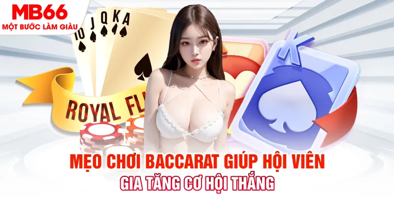 hotlive51 đá gà 88