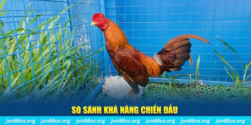 hotlive51 xổ số tiền giang