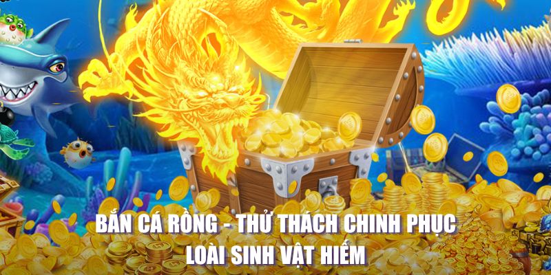 hotlive51 đăng nhập lô đề online