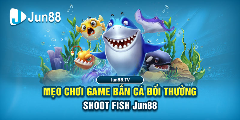 hotlive51 tai game danh bai bigkool ve may tinh
