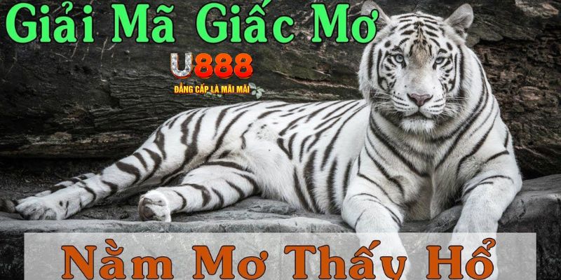 hotlive51 xổ số kiến thiết miền bắc