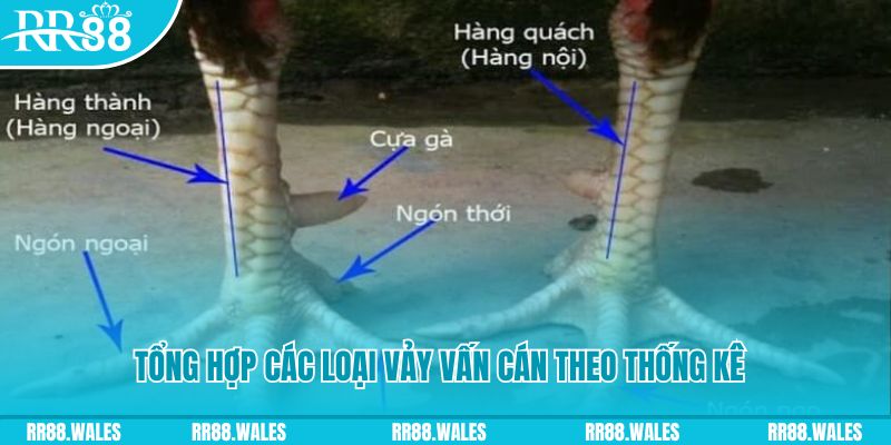 hotlive51 nổ hũ chơi như thế nào