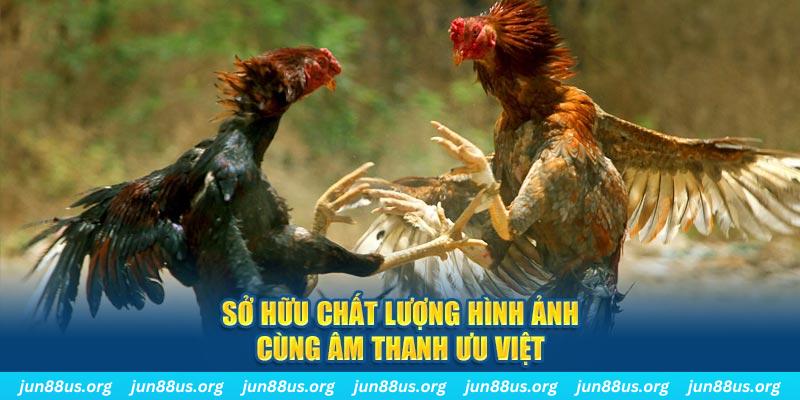 hotlive51 tai game danh bai ve may tinh