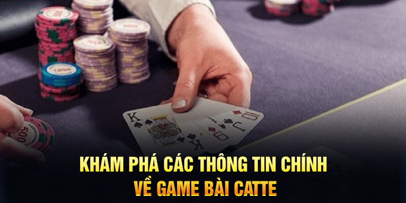 hotlive51 Trăm người Bo tám Bo chín