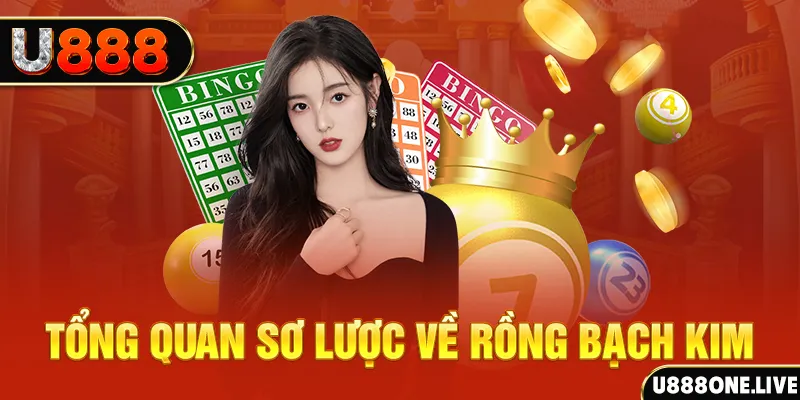 hotlive51 nổ hũ ai là gì