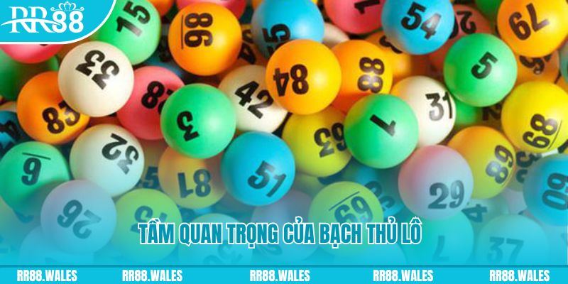 hotlive51 đá gà trực tiếp casino