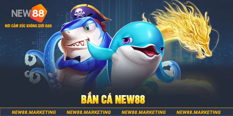 hotlive51 2 slot là gì