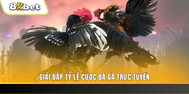 hotlive51 xổ số ba đài