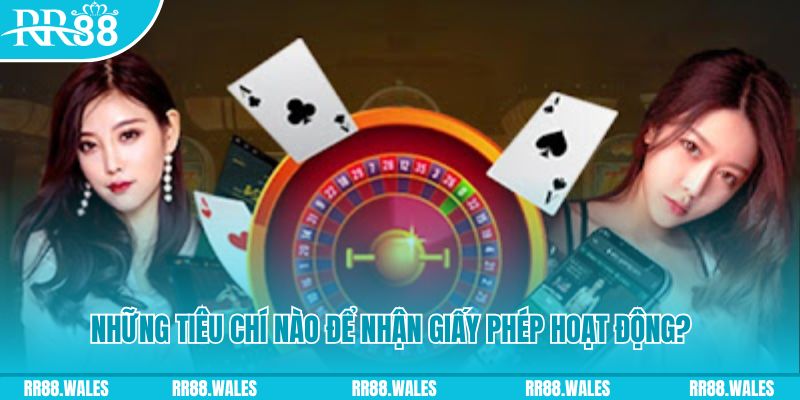 hotlive51 casino ở đâu