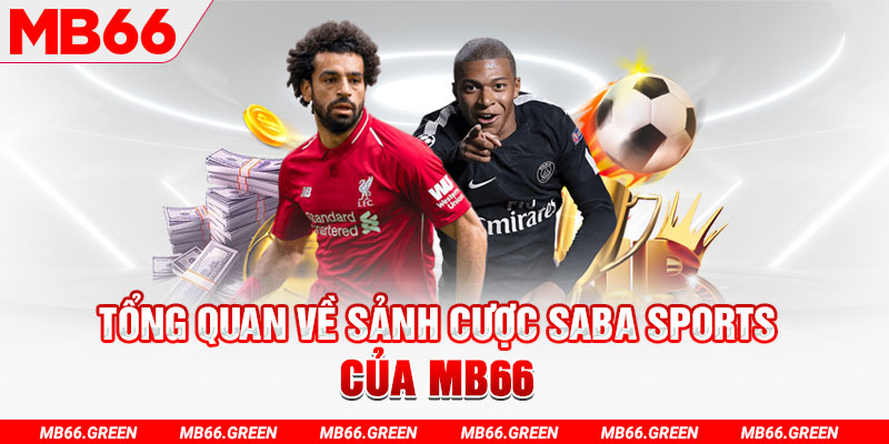 hotlive51 slot có nghĩa là gì