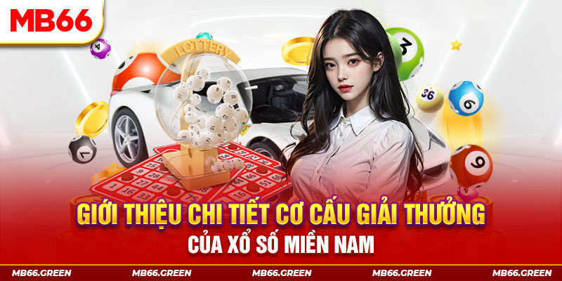 hotlive51 PP Điện Tử