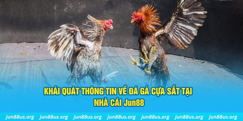 hotlive51 game bài trên máy tính