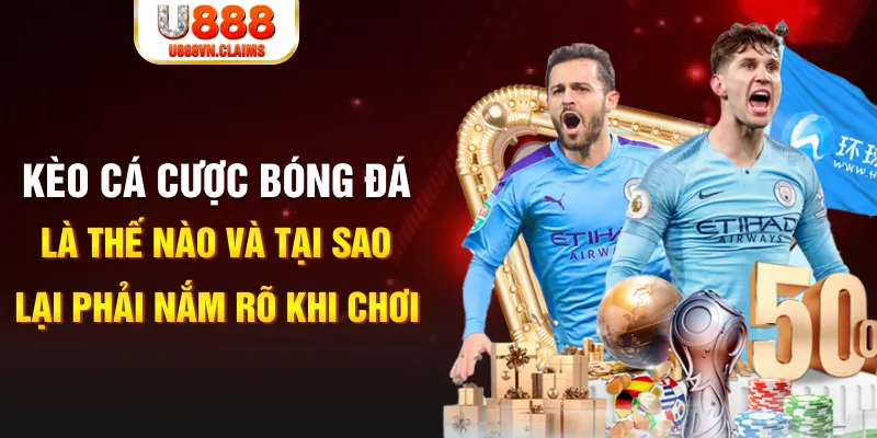 hotlive51 slot la gì