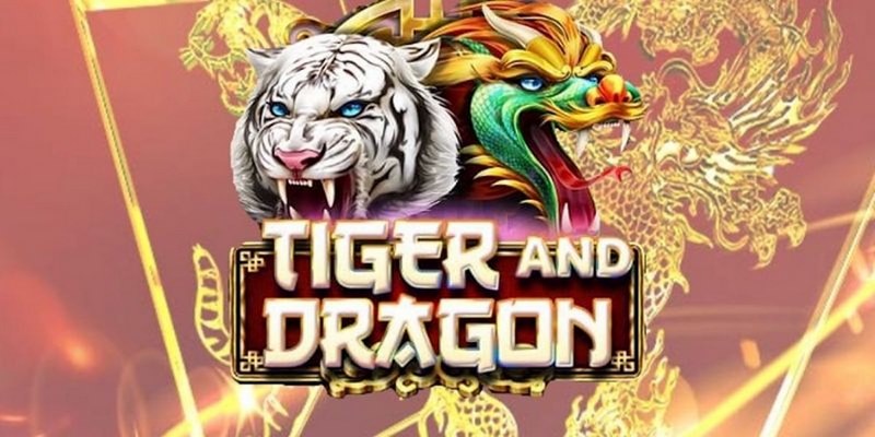 hotlive51 trực tiếp đá gà thomo