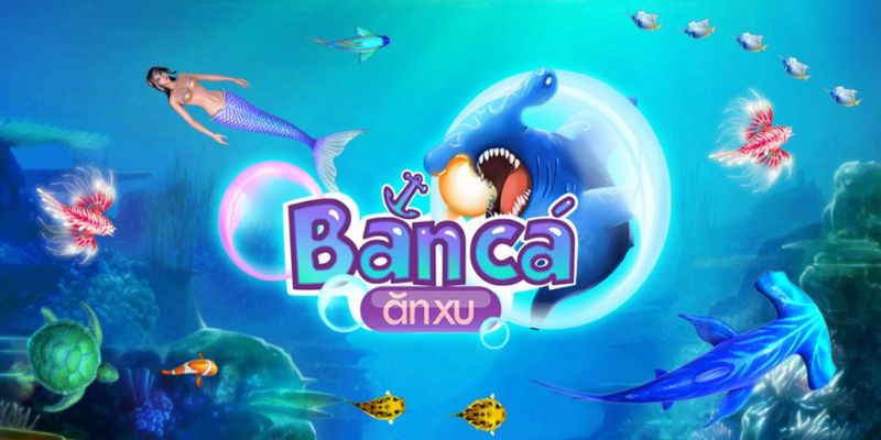 hotlive51 baccarat online bịp như thế nào